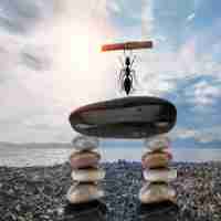 ai识​别​技﻿术​